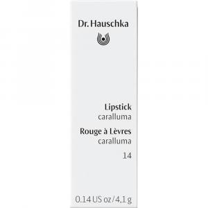 DR.HAUSCHKA Lipstick 14 caralluma