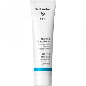 DR.HAUSCHKA MED Shampoo Mittagsblume