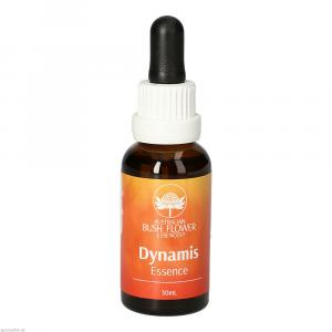 DYNAMIS Essence austral.Bushblüten Misch.AUB Tro.