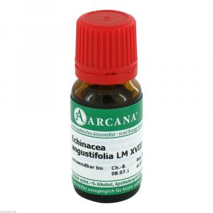 ECHINACEA ANGUSTIFOLIA LM 18 Dilution