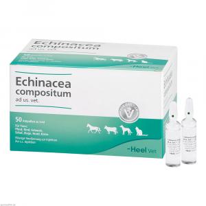 ECHINACEA COMPOSITUM ad us.vet.Ampullen