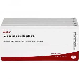 ECHINACEA E planta tota D 2 Ampullen