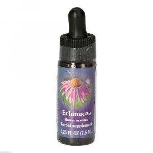 ECHINACEA FES kalifornische Blütenessenz Tropfen
