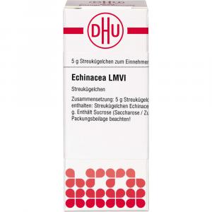 ECHINACEA HAB LM VI Globuli