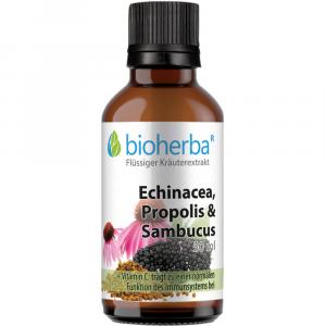 ECHINACEA PROPOLIS und Sambucus Tinktur
