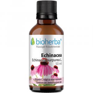ECHINACEA TINKTUR