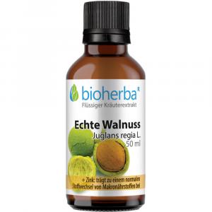 ECHTE Walnuss Tinktur
