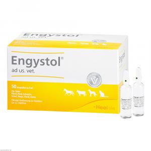 ENGYSTOL ad us.vet.Ampullen