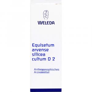 EQUISETUM ARVENSE Silicea cultum D 2 Dilution