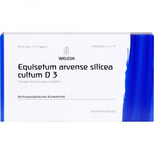 EQUISETUM ARVENSE Silicea cultum D 3 Ampullen