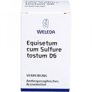 EQUISETUM CUM Sulfure tostum D 6 Trituration