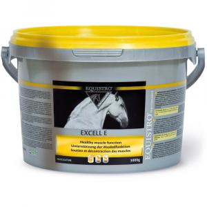 EQUISTRO Excell E Powder Erg.Futterm.Plv.f.Pferde