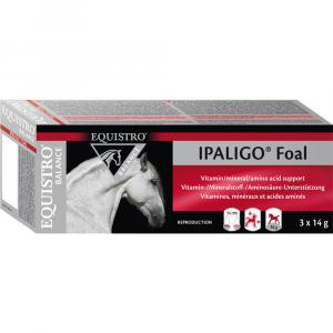 EQUISTRO Ipaligo Foal Erg.Futterm.Paste f.Pferde