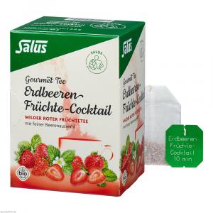 ERDBEEREN Früchtecocktail Salus Filterbeutel