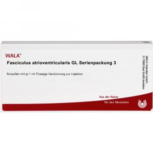 FASCICULUS atrioventricularis GL Serienpack.3 Amp.