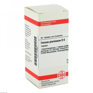 FERRUM PICRINICUM D 6 Tabletten