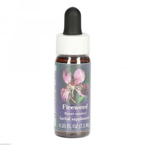 FIREWEED FES kalifornische Blütenessenz Tropfen