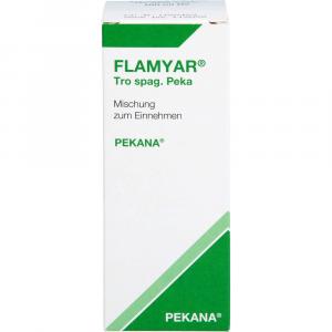 FLAMYAR Tro spag.Peka Mischung