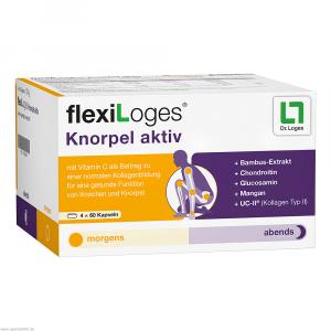 FLEXILOGES Knorpel aktiv Kapseln