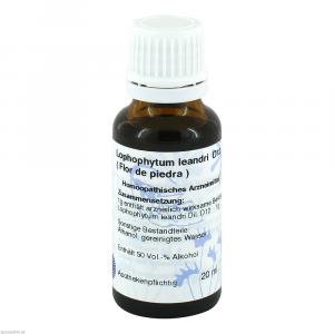 FLOR DE PIEDRA D 12 Hanosan Dilution