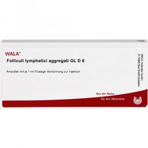 FOLLICULI LYMPHATICI aggregati GL D 6 Ampullen