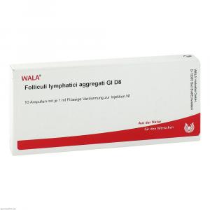 FOLLICULI LYMPHATICI aggregati GL D 8 Ampullen