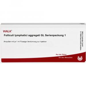 FOLLICULI LYMPHATICI aggregati GL Serienpa.1 Amp.