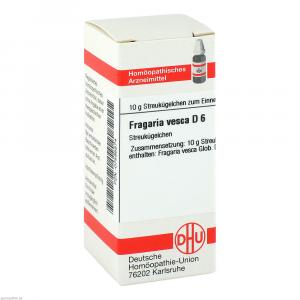 FRAGARIA VESCA D 6 Globuli FRAGARIA VESCA D 6 Globuli