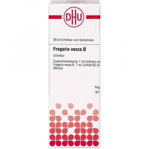 FRAGARIA VESCA Urtinktur