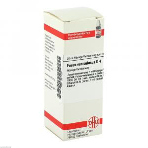 FUCUS VESICULOSUS D 4 Dilution