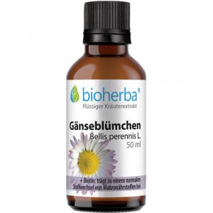 GÄNSEBLÜMCHEN Tinktur