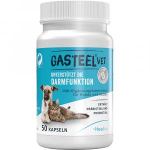 GASTEEL Diät-Erg.Futterm.Kapseln f.Hunde/Katzen