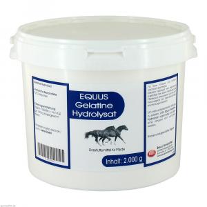 GELATINE HYDROLYSAT Equus Pulver vet.