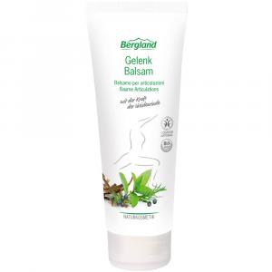 GELENK BALSAM