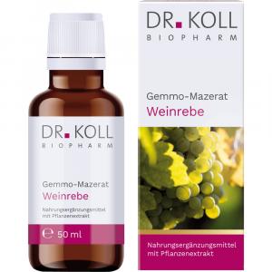 GEMMO-MAZERAT Eiche Dr.Koll Quercus peduncul.Tro.