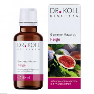 GEMMO-MAZERAT Feige Dr.Koll Ficus carica Tropfen