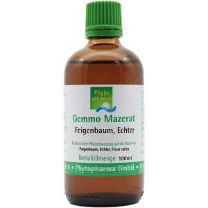 GEMMO-MAZERAT Feigenbaum echt Tropfen z.Einnehmen