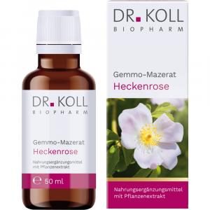 GEMMO-MAZERAT Heckenrose Dr.Koll Rosa canina Tro.