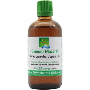 GEMMO-MAZERAT Jungfernrebe japanisch Tropf.z.Einn.