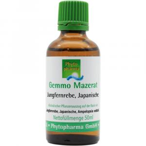 GEMMO-MAZERAT Jungfernrebe japanisch Tropf.z.Einn.