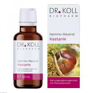 GEMMO-MAZERAT Kastanie Dr.Koll Castanea vesca Tro.