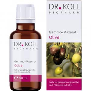GEMMO-MAZERAT Olive Dr.Koll Olea europaea Tropfen