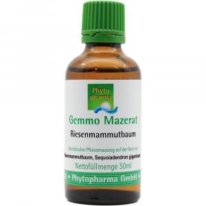 GEMMO-MAZERAT Riesenmammutbaum Tropfen z.Einnehmen