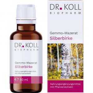 GEMMO-MAZERAT Silberbirke Dr.Koll Betula alba Tro.