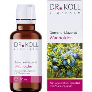 GEMMO-MAZERAT Wacholder Dr.Koll Juniperus com.Tro.