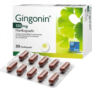 GINGONIN 120 mg Hartkapseln