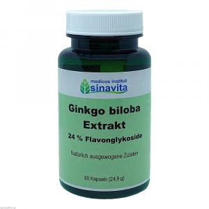 GINKGO BILOBA EXTRAKT 24% Flavonglykoside Kapseln