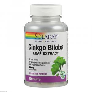 GINKGO BILOBA EXTRAKT 60 mg 24% Solaray Kapseln