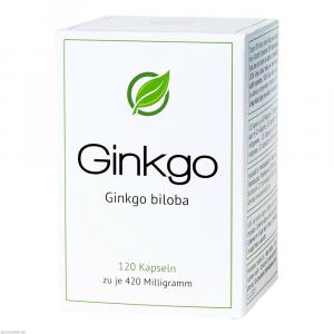GINKGO GINKGO biloba 420 mg