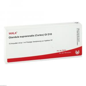 GLANDULA SUPRARENALES cortex GL D 10 Ampullen